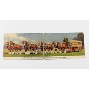 Budweiser Clydesdale Postcard Anheuser-Busch Fold-Out Vintage USA
